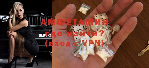 индика Алексин