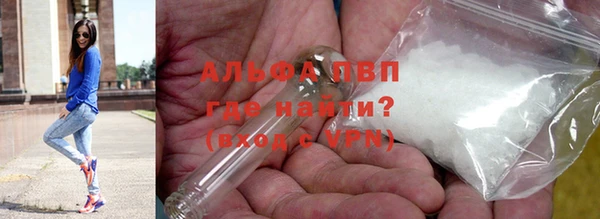 индика Алексин