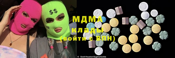 индика Алексин