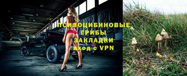 индика Алексин