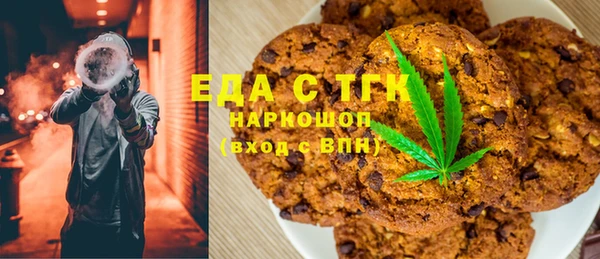 индика Алексин