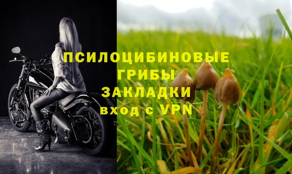 индика Алексин