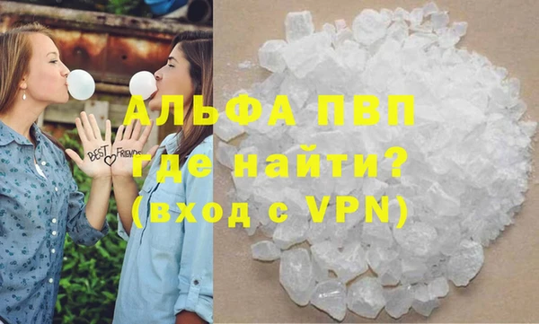 индика Алексин