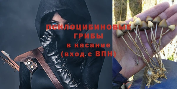 индика Алексин