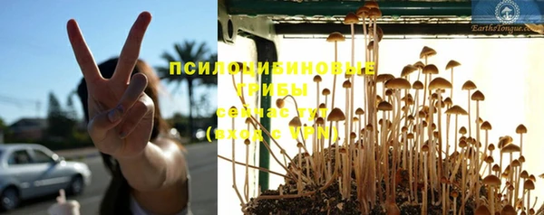 индика Алексин