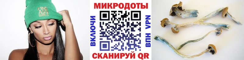 где купить наркоту  Минусинск  Псилоцибиновые грибы Psilocybine cubensis 